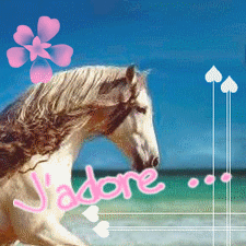 J'adore les chevaux ... !!